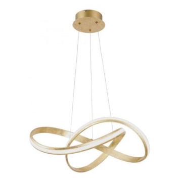 Paul Neuhaus 8291-12 - Lampadario su filo LED dimmerabile MELINDA 1xLED/30W/230V