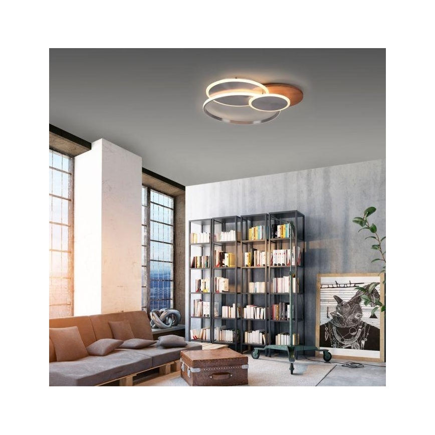 Paul Neuhaus 8328-79 - Dimmbare LED-Deckenleuchte PALMA LED/50W/230V 2700-5000K Kiefer + Fernbedienung
