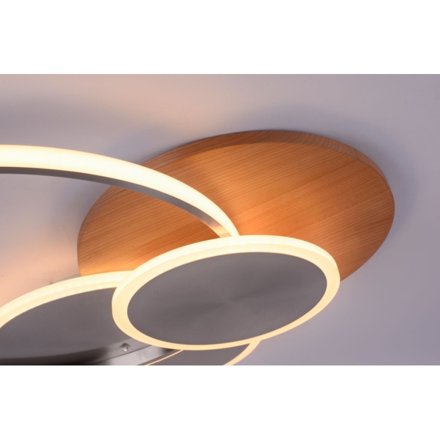 Paul Neuhaus 8328-79 - Dimmbare LED-Deckenleuchte PALMA LED/50W/230V 2700-5000K Kiefer + Fernbedienung