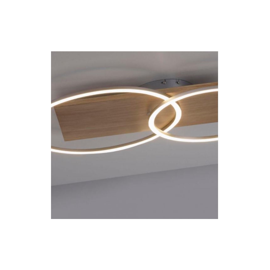 Paul Neuhaus 8329-79 - Plafonnier à intensité variable PALMA LED/26W/230V 2700-5000K pin + télécommande