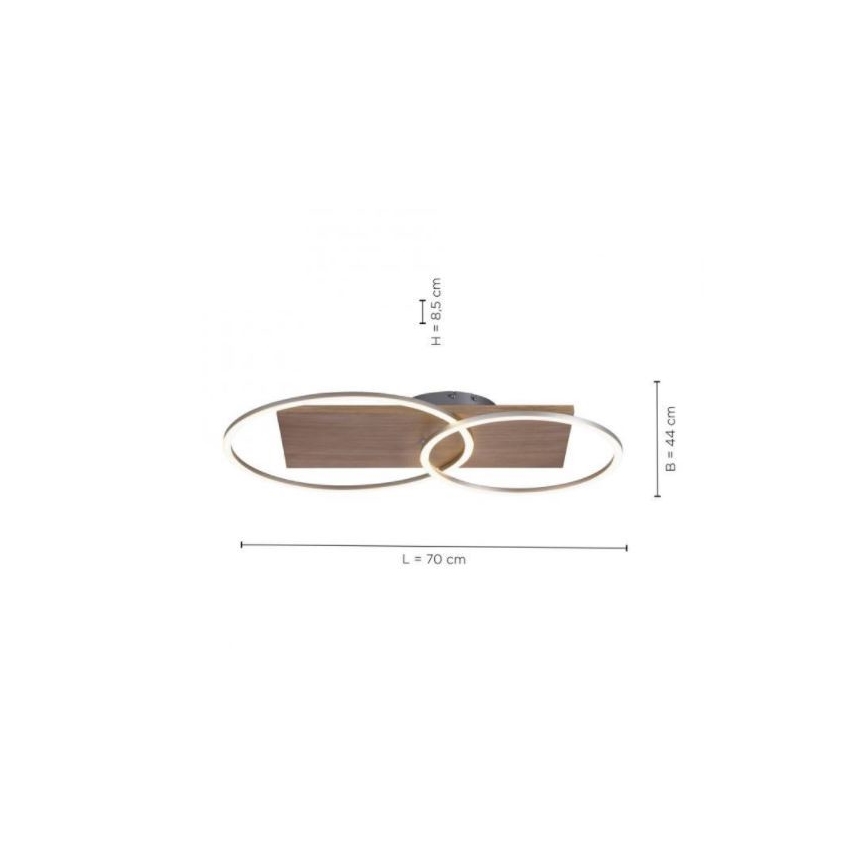 Paul Neuhaus 8329-79 - Plafonnier à intensité variable PALMA LED/26W/230V 2700-5000K pin + télécommande