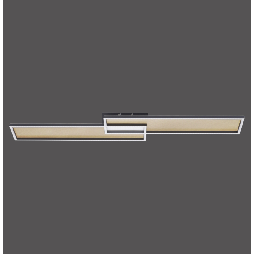 Paul Neuhaus 8371-18 - Plafonnier dimmable LED AMARA LED/40W/230V + télécommande