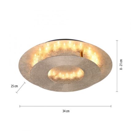 Paul Neuhaus 9011-12 - Plafonnier NEVIS LED/6W/230V doré