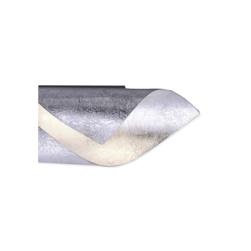 Paul Neuhaus 9030-21 - Applique murale NEVIS LED/6W/230V argentée