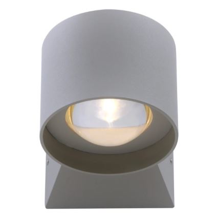 Paul Neuhaus 9441-21 - Applique murale d'extérieur TIMO 2xLED/2W/230V IP54