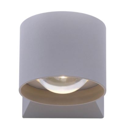 Paul Neuhaus 9441-21 - Applique murale d'extérieur TIMO 2xLED/2W/230V IP54