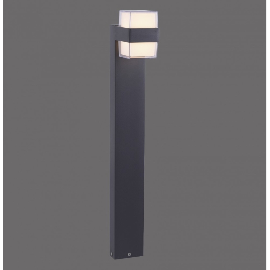 Paul Neuhaus 9481-13 - Lampada LED da esterno CARA LED/8W/230V IP44