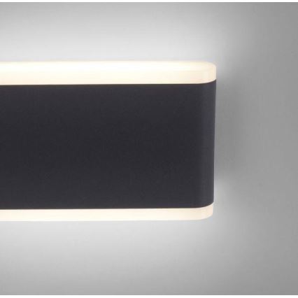 Paul Neuhaus 9483-13 - Applique a LED da esterno ELSA 2xLED/5,4W/230V IP65
