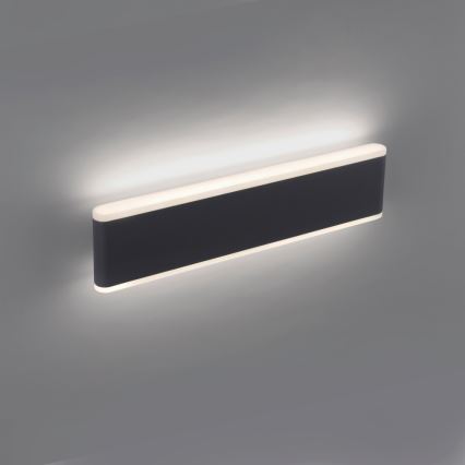 Paul Neuhaus 9484-13 - Applique murale à intensité variable d'extérieur ELSA 2xLED/9W/230V IP65
