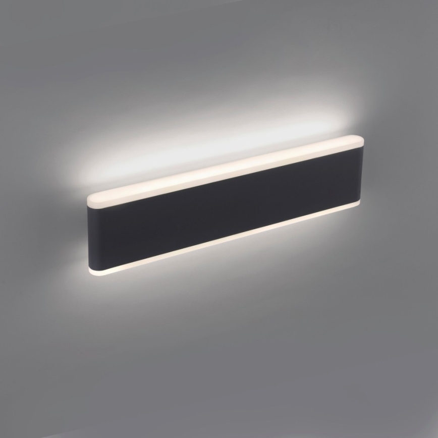 Paul Neuhaus 9484-13 - Applique murale à intensité variable d'extérieur ELSA 2xLED/9W/230V IP65