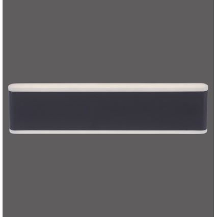 Paul Neuhaus 9484-13 - Applique murale à intensité variable d'extérieur ELSA 2xLED/9W/230V IP65