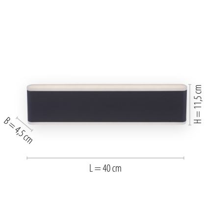 Paul Neuhaus 9484-13 - Applique murale à intensité variable d'extérieur ELSA 2xLED/9W/230V IP65
