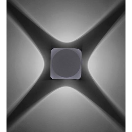 Paul Neuhaus 9485-21 - Applique LED da esterno CARLO 4xLED/0,8W/230V IP54