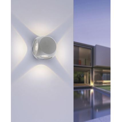 Paul Neuhaus 9485-21 - Applique murale d'extérieur CARLO 4xLED/0,8W/230V IP54