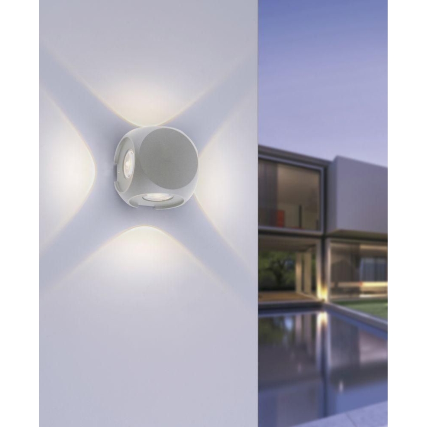 Paul Neuhaus 9485-21 - Applique murale d'extérieur CARLO 4xLED/0,8W/230V IP54