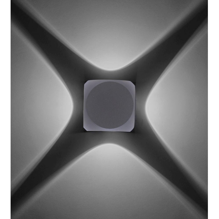 Paul Neuhaus 9485-21 - Applique murale d'extérieur CARLO 4xLED/0,8W/230V IP54