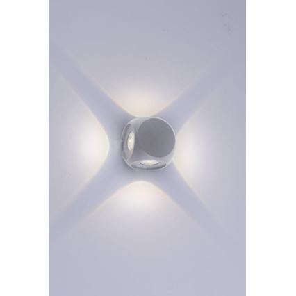 Paul Neuhaus 9485-21 - Applique murale d'extérieur CARLO 4xLED/0,8W/230V IP54