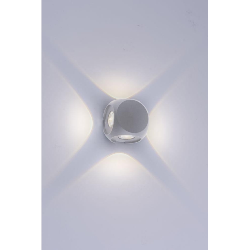 Paul Neuhaus 9485-21 - Applique murale d'extérieur CARLO 4xLED/0,8W/230V IP54