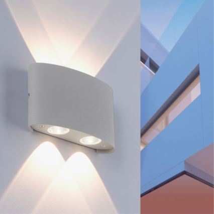 Paul Neuhaus 9487-21 - Applique LED da esterno CARLO 4xLED/0,8W/230V IP54