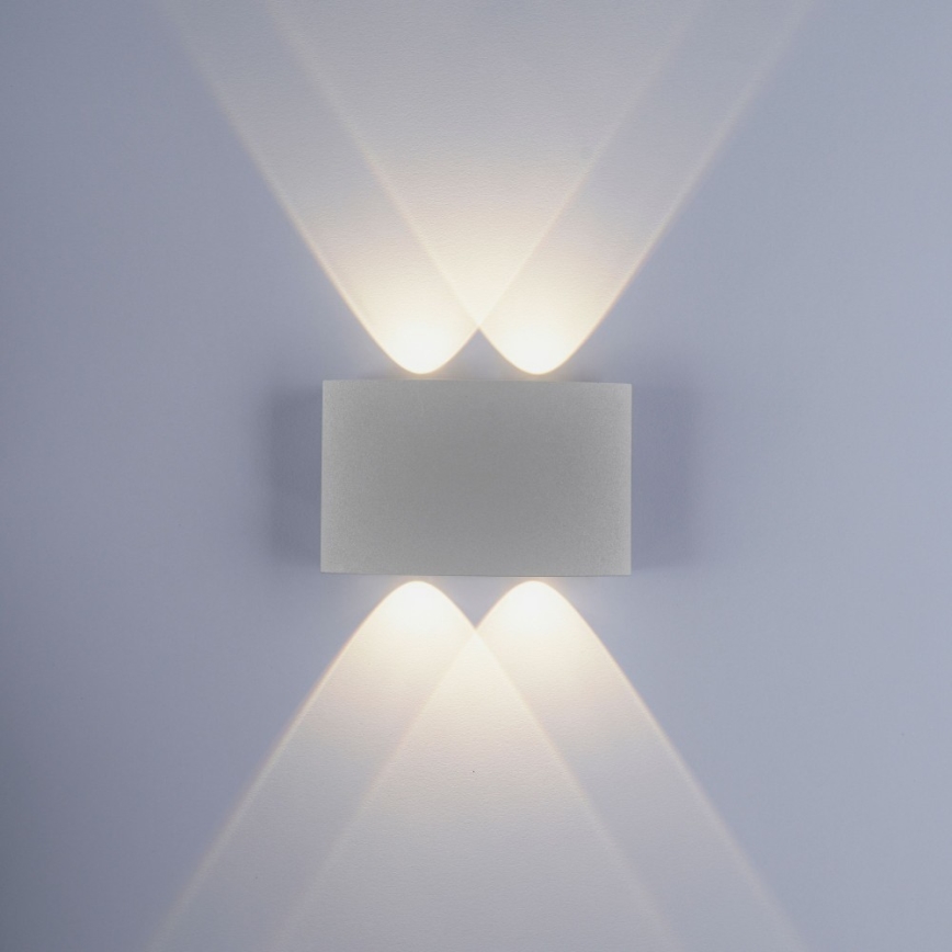Paul Neuhaus 9487-21 - Applique LED da esterno CARLO 4xLED/0,8W/230V IP54