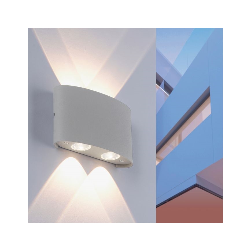 Paul Neuhaus 9487-21 - Applique murale d'extérieur CARLO 4xLED/0,8W/230V IP54