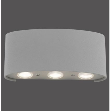 Paul Neuhaus 9488-21 - Applique murale d'extérieur CARLO 6xLED/0,8W/230V IP54