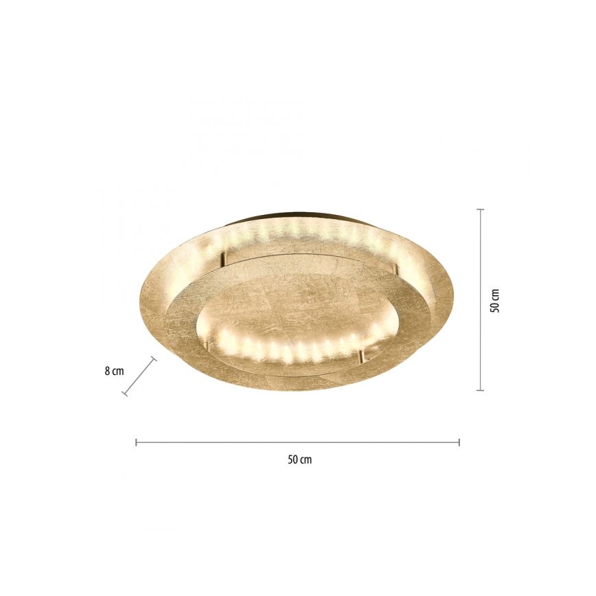 Paul Neuhaus 9621-12 - LED-Deckenleuchte NEVIS LED/24W/230V
