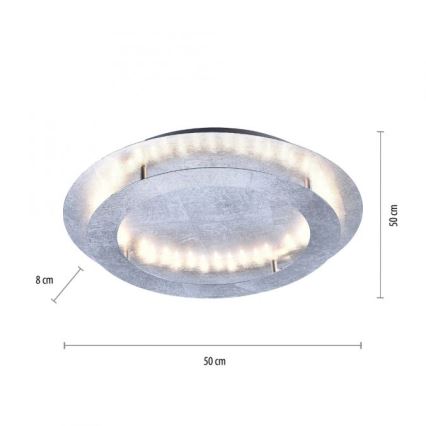 Paul Neuhaus 9621-21 - LED-Deckenleuchte NEVIS LED/24W/230V