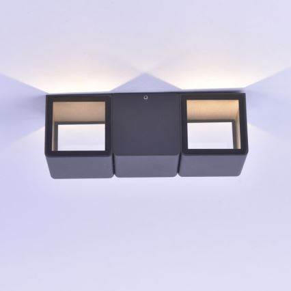 Paul Neuhaus 9658-13 - Applique murale d'extérieur MARCEL 2xLED/4W/230V IP54