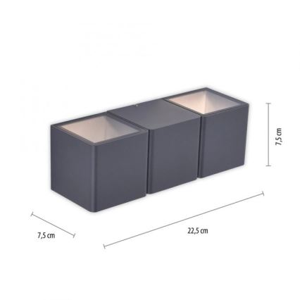 Paul Neuhaus 9658-13 - Applique murale d'extérieur MARCEL 2xLED/4W/230V IP54