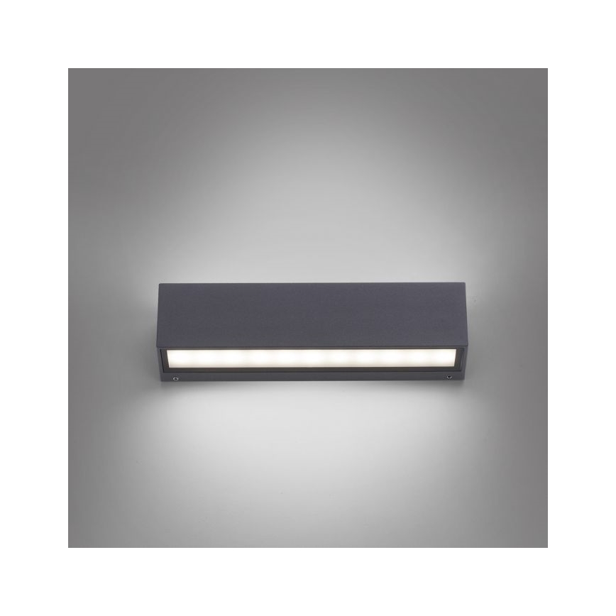 Paul Neuhaus 9675-13 - Applique murale d'extérieur ROBERT 2xLED/9W/230V IP65