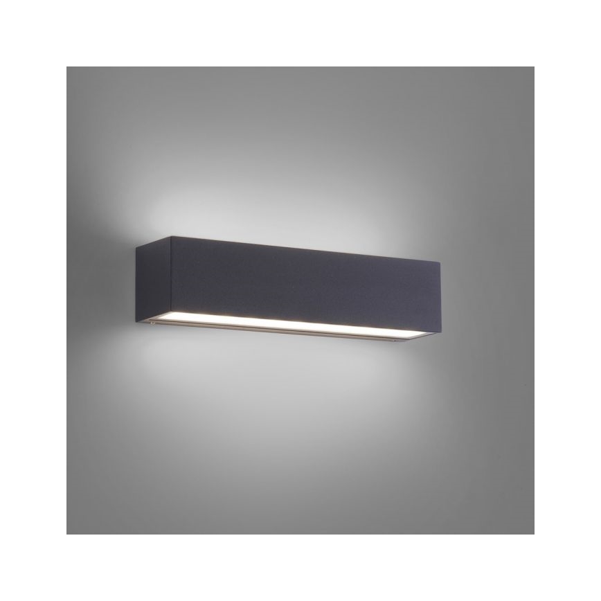 Paul Neuhaus 9675-13 - LED Außenwandleuchte ROBERT 2xLED/9W/230V IP65