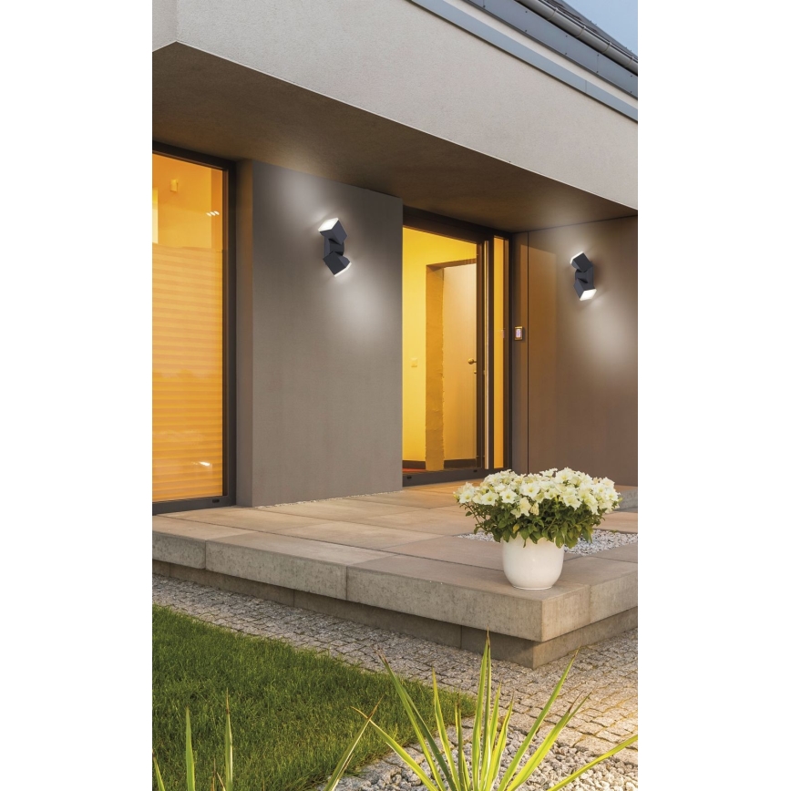 Paul Neuhaus 9722-13 - Applique murale d'extérieur RYAN 2xLED/5W/230V IP54