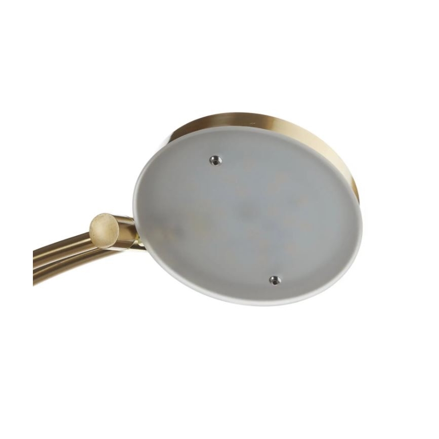 Paul Neuhaus - 655-60 - Lampada LED da terra dimmerabile ALFRED 1xLED/28W/230V+1xLED/4W/230V ottone