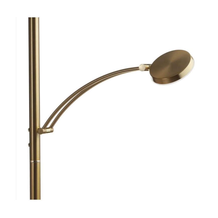 Paul Neuhaus - 655-60 - Lampada LED da terra dimmerabile ALFRED 1xLED/28W/230V+1xLED/4W/230V ottone