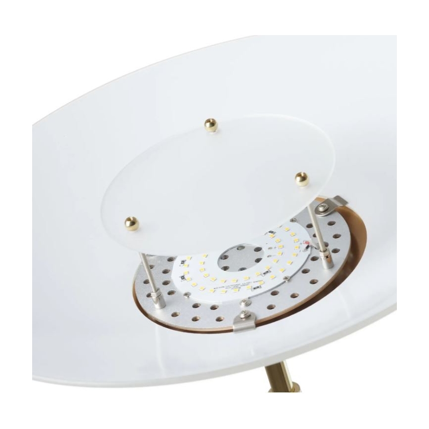 Paul Neuhaus - 655-60 - Lampada LED da terra dimmerabile ALFRED 1xLED/28W/230V+1xLED/4W/230V ottone