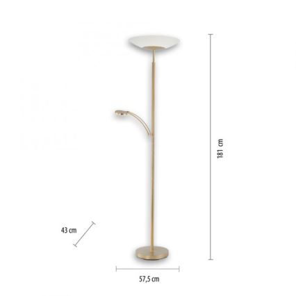 Paul Neuhaus - 655-60 - Lampada LED da terra dimmerabile ALFRED 1xLED/28W/230V+1xLED/4W/230V ottone