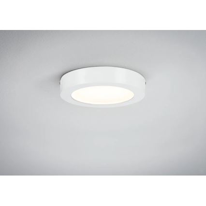Paulmann 70642 - LED/12,5W Plafoniera LUNAR 230V diametro 22,5 cm bianco