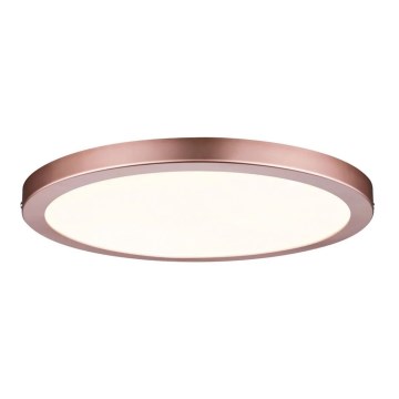 Paulmann 70872 - LED/22W Pannello dimmerabile ATRIA 230V 2700K diametro 30 cm Oro rosa