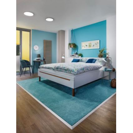 Paulmann 70872 - Panneau à intensité variable LED/22W ATRIA 230V 2700K d. 30 cm Rose doré