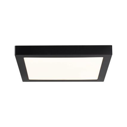 Paulmann 70985 - LED/22W Deckenleuchte ABIA 230V