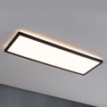 Paulmann 71003 - LED/22W Pannello dimmerabile ATRIA 230V 3000K 20x58 cm nero