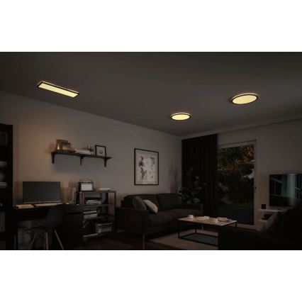 Paulmann 71003 - Panneau à intensité variable LED/22W ATRIA 230V 3000K 20x58 cm noir
