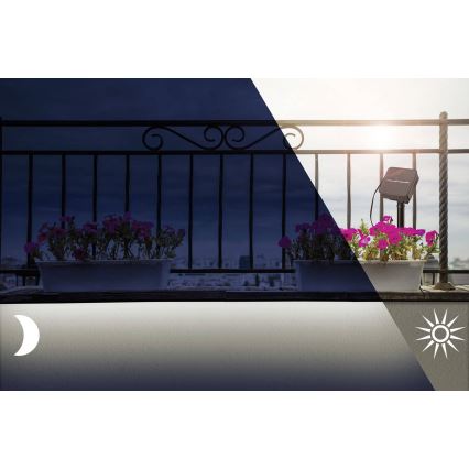 Paulmann 78896 - LED/0,3W IP44 Striscia solare 3m 1,2V