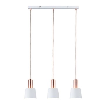 Paulmann 79657 - 3xE14/20W Lampadario a sospensione con filo NEORDIC HALDAR 230V