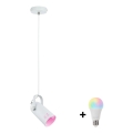 Paulmann 79767 - LED RGBW 1xE27/12W Lampada a sospensione su cavo LAVEA 230V bianco
