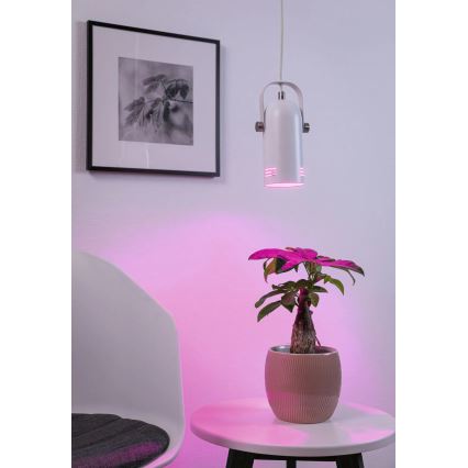 Paulmann 79767 - LED RGBW 1xE27/15W Pendelleuchte an Stahlseil LAVEA 230V weiß