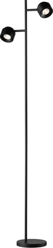 Paulmann 79775 - 2xLED/3W Lampadaire à intensité variable PURIK PANE 230V