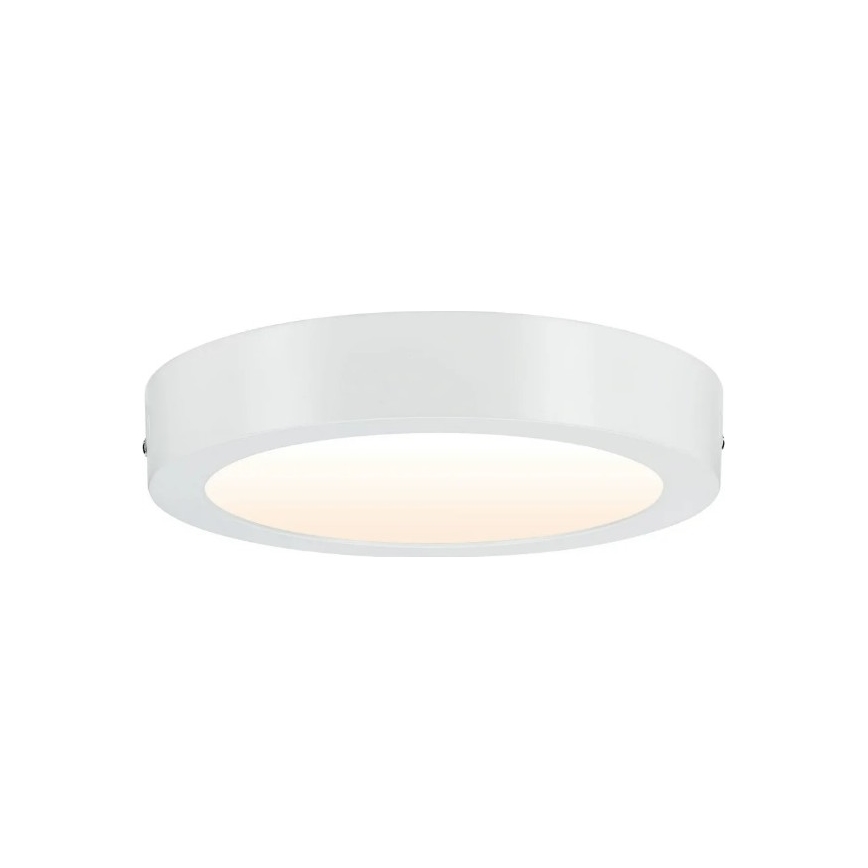 Paulmann 79794 - Plafoniera LED/13W CARPO 230V 2300/2500/3000K