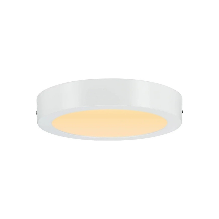 Paulmann 79795 - Plafonnier LED/13W CARPO 230V 2300/2500/3000K